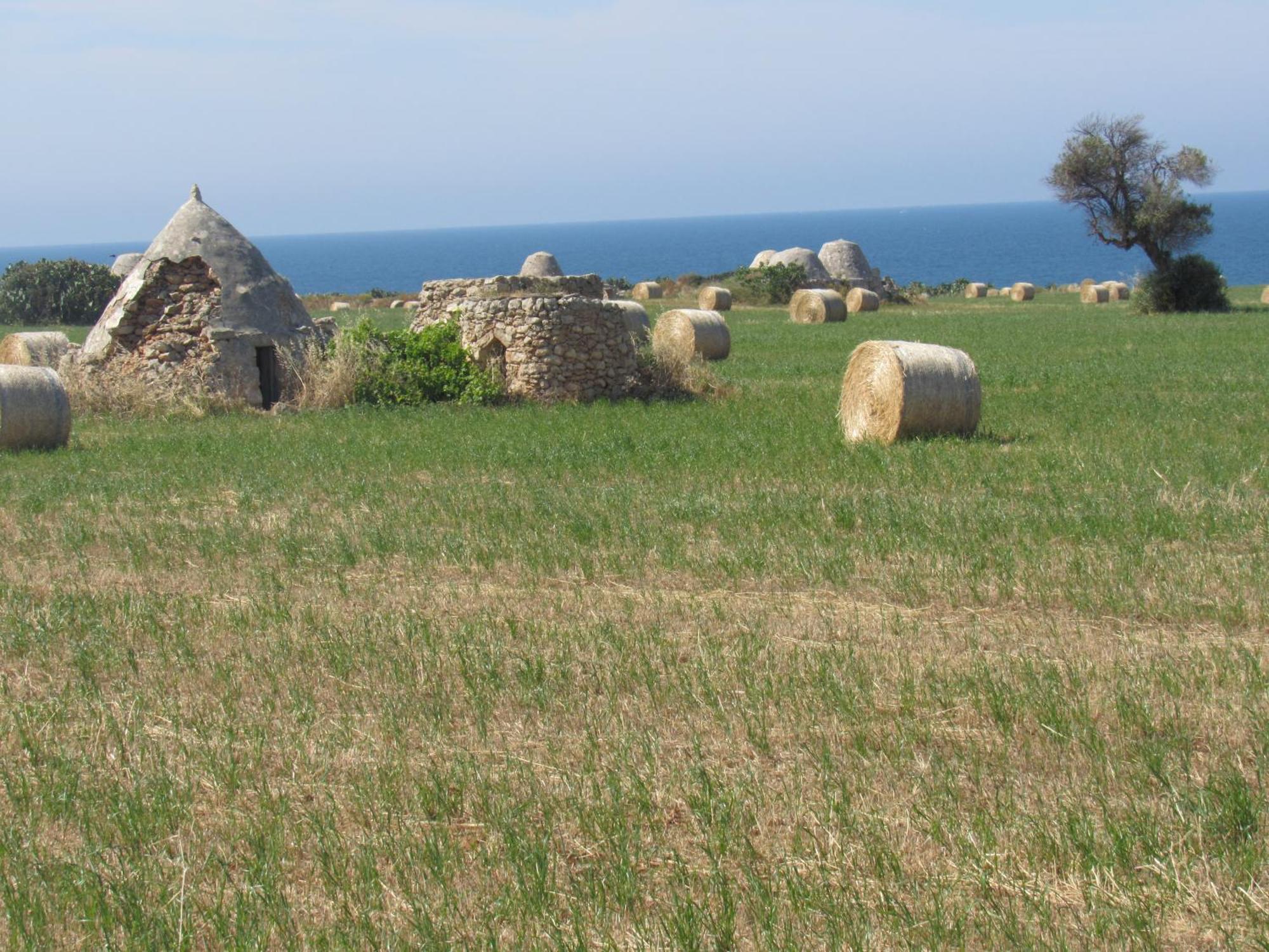 Apartamento Nisea Polignano a Mare Exterior foto